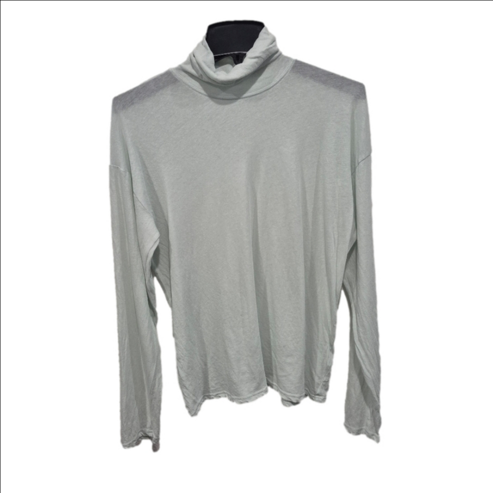 EVERLANE Mint Semi-Sheer Cotton Long Sleeve Turtleneck